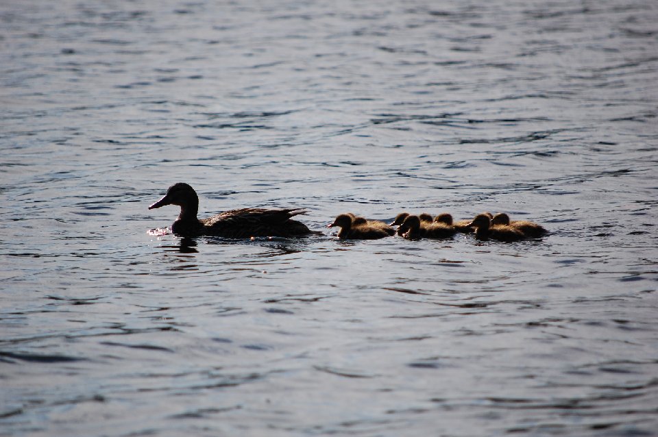 SUMMER2010- (107)